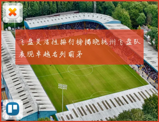 飞盘灵活性排行榜揭晓杭州飞盘队表现卓越名列前茅