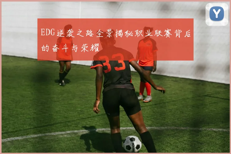 EDG逆袭之路全景揭秘职业联赛背后的奋斗与荣耀