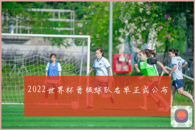 2022世界杯晋级球队名单正式公布
